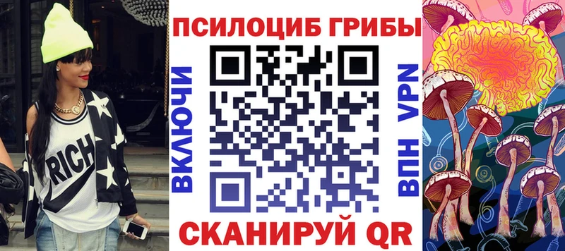 Купить закладки  Звенигород  Галлюциногенные грибы Psilocybine cubensis 